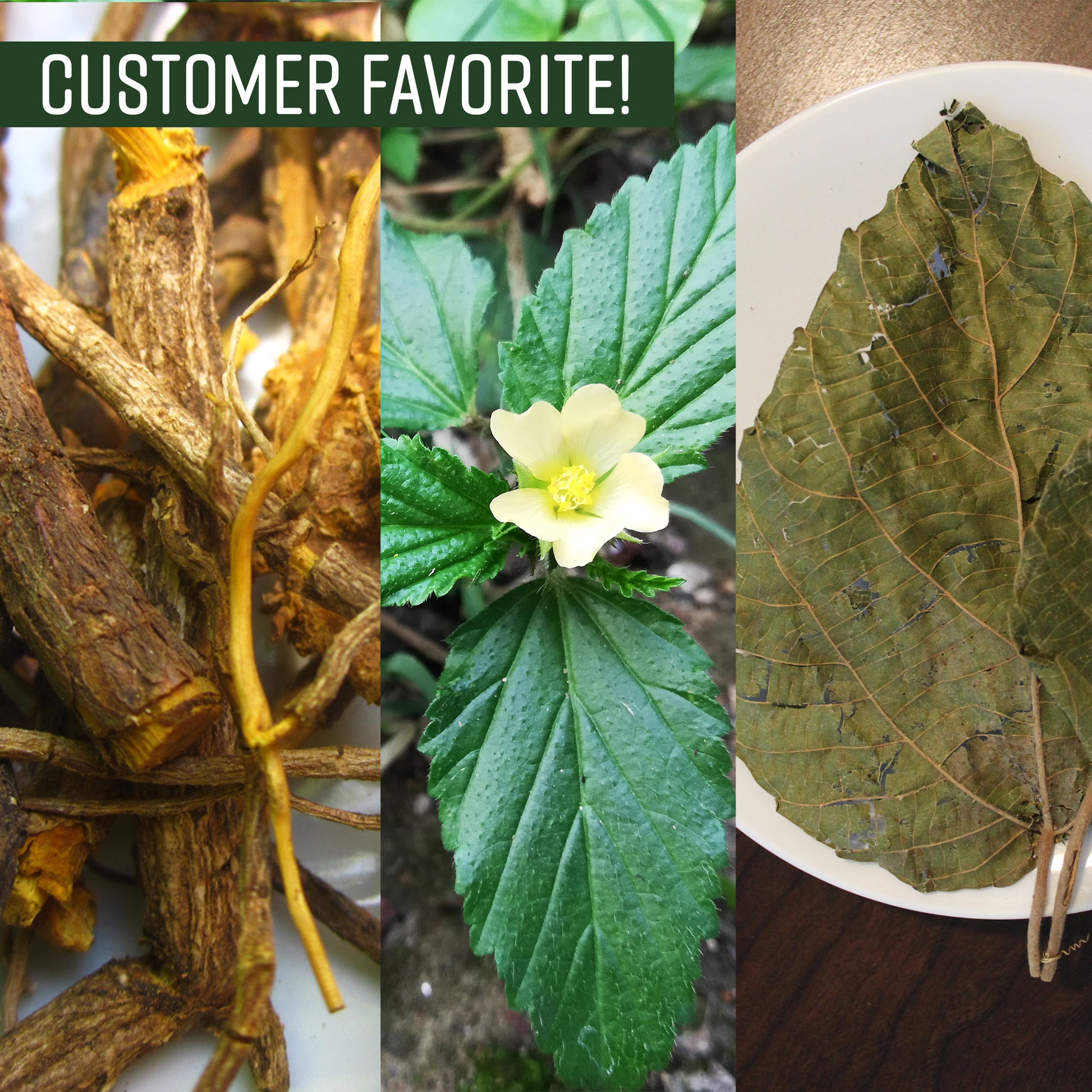 CSA ingredients and banner