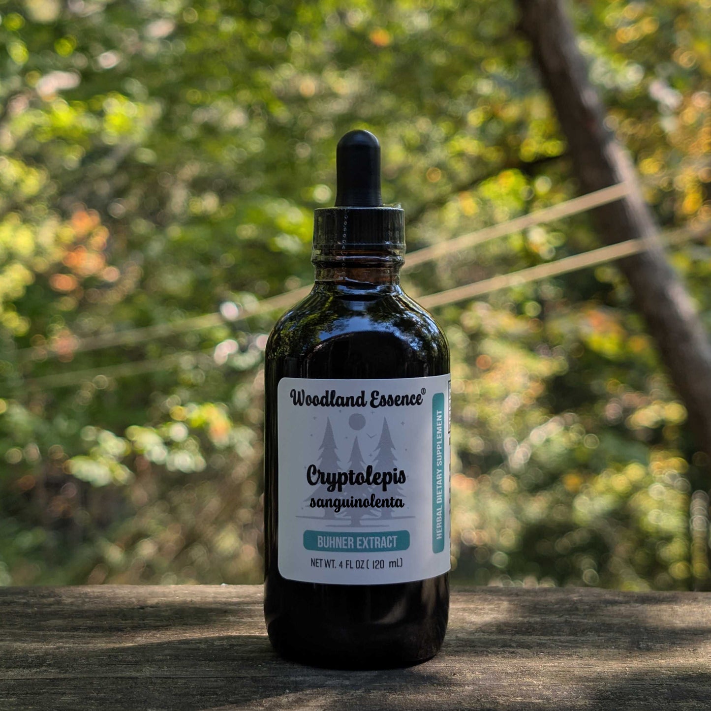 Bottle of Woodland Essence Cryptolepis sanguinolenta tincture with a blurred natural background