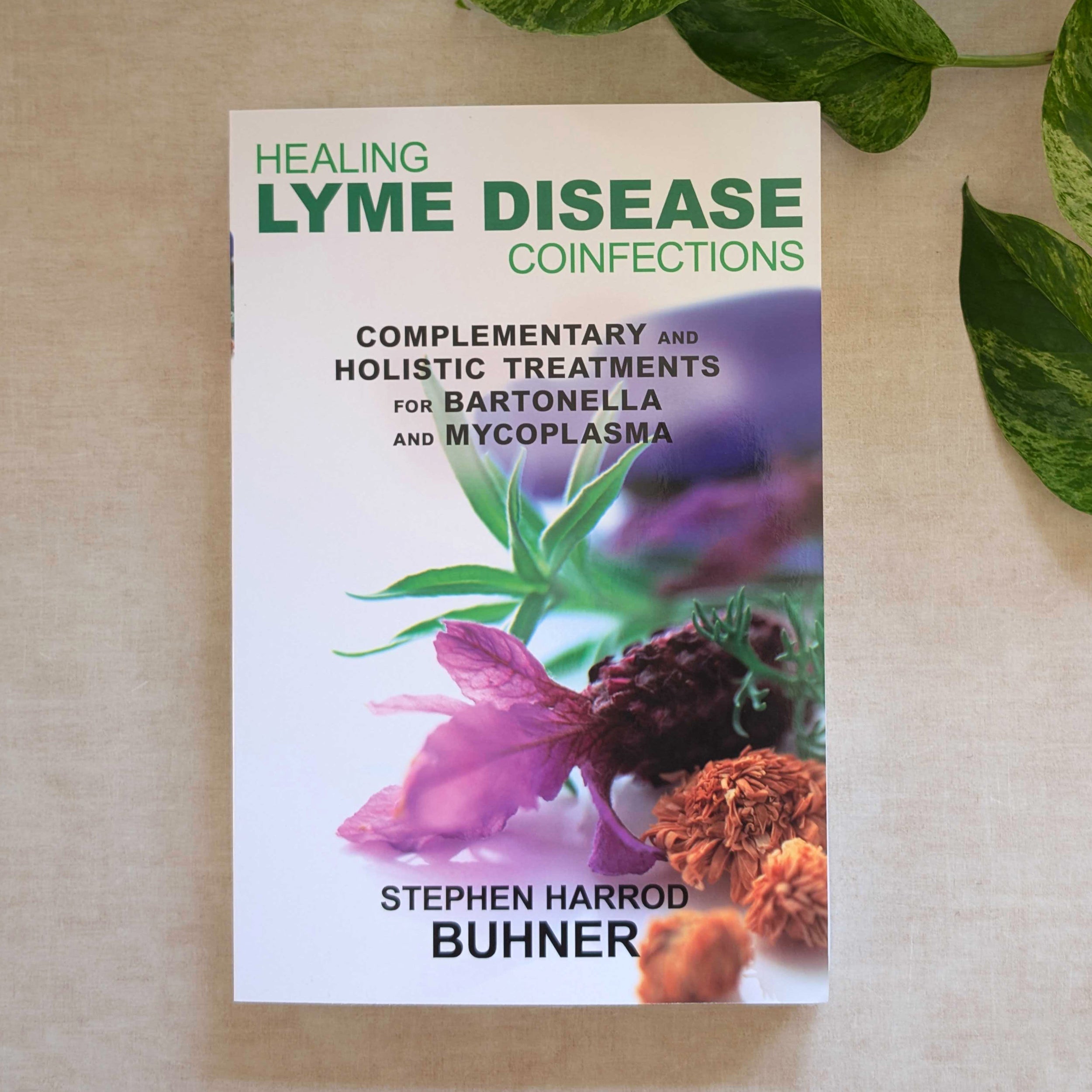 1.) Healing Lyme Disease Coinfections Stephen Harrod Buhner