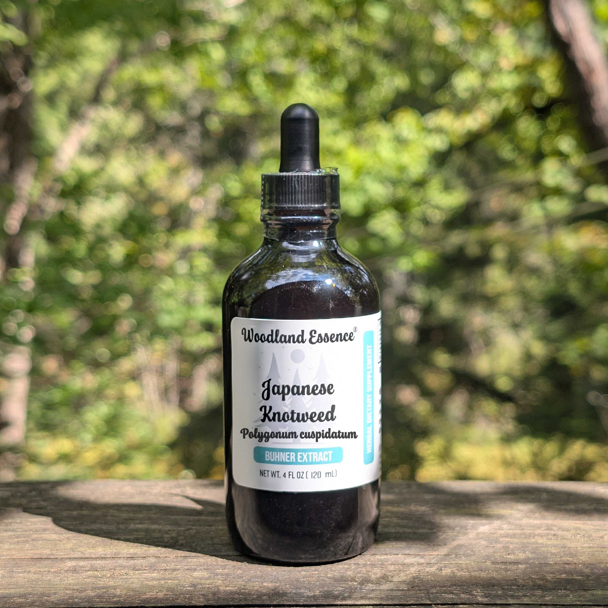 Bottle of Woodland Essence Japanese Knotweed extract on a wooden surface with a blurred natural background