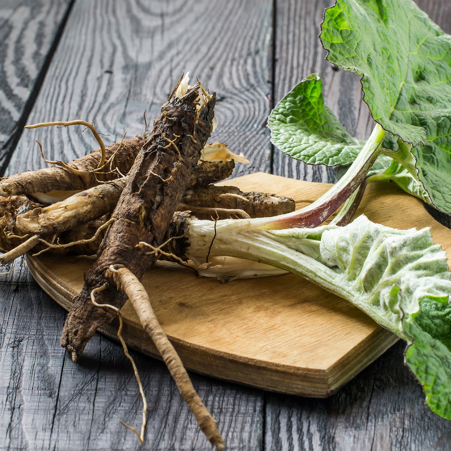 Herbal Bitters Formula