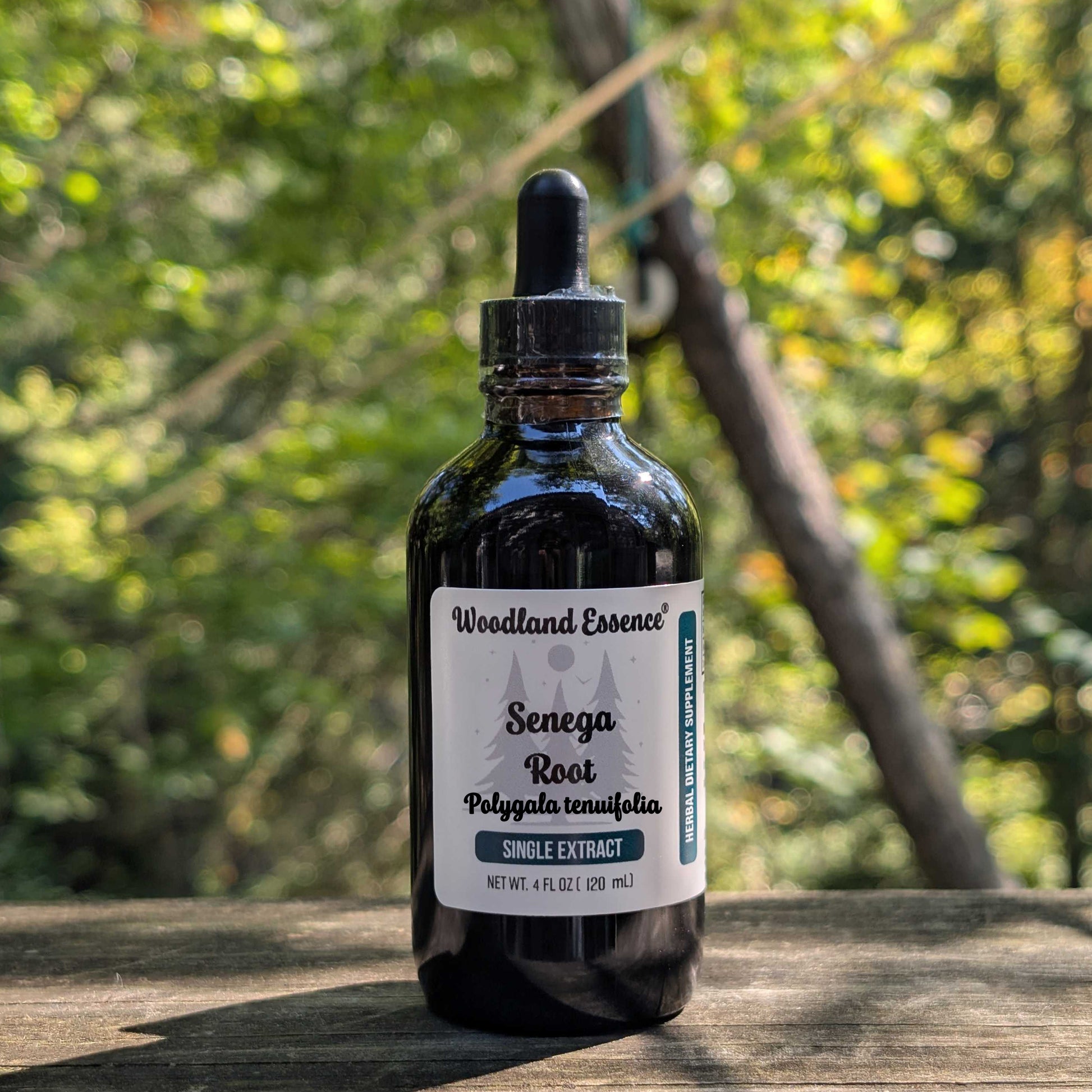 Bottle of Woodland Essence Senega Root extract on a wooden surface with a blurred natural background