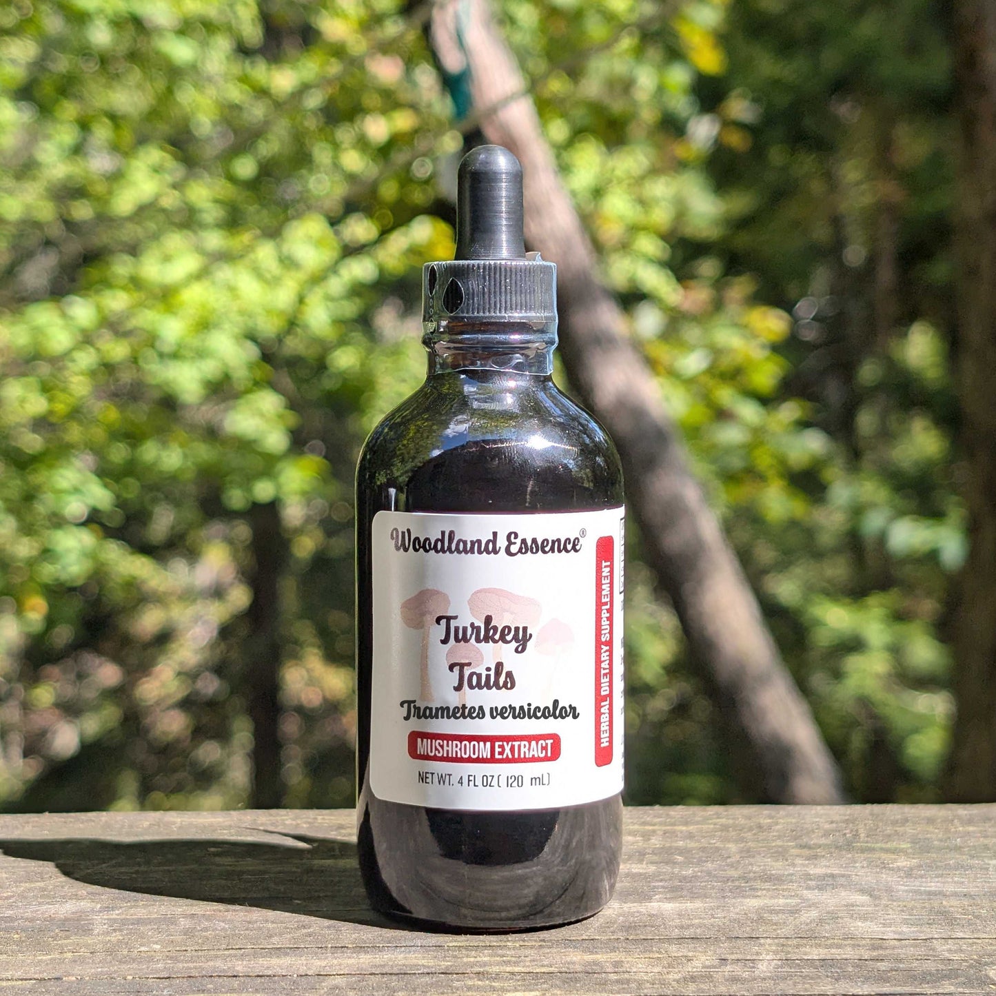 Bottle of Woodland Essence Turkey Tails mushroom extract on a wooden surface with a forest background
