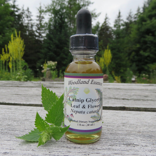 Bottle of Catnip Glycerite with catnip stem on picnic table