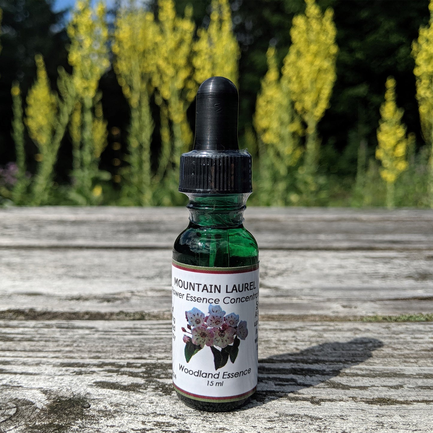 Bottle of Mountain Laurel Flower Essence on picnic table