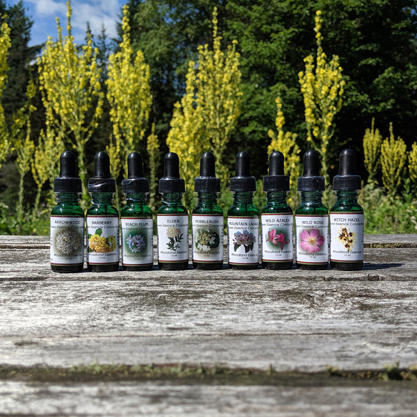 Set of Shrub Flower Essences Woodland Essence