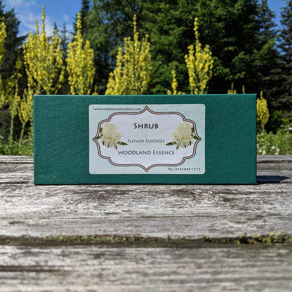 Set of Shrub Flower Essences Woodland Essence