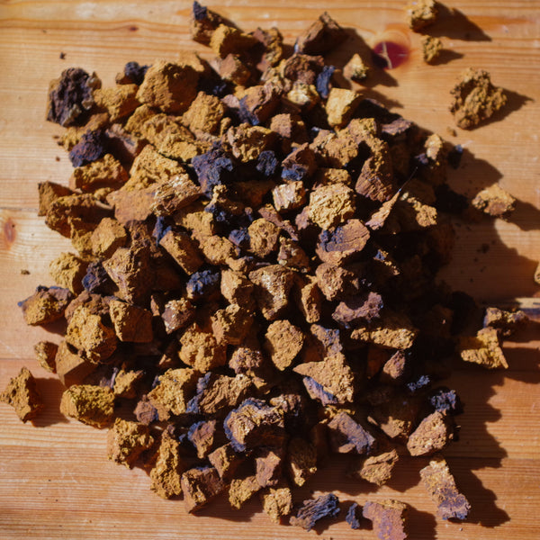 Chaga Recipes!