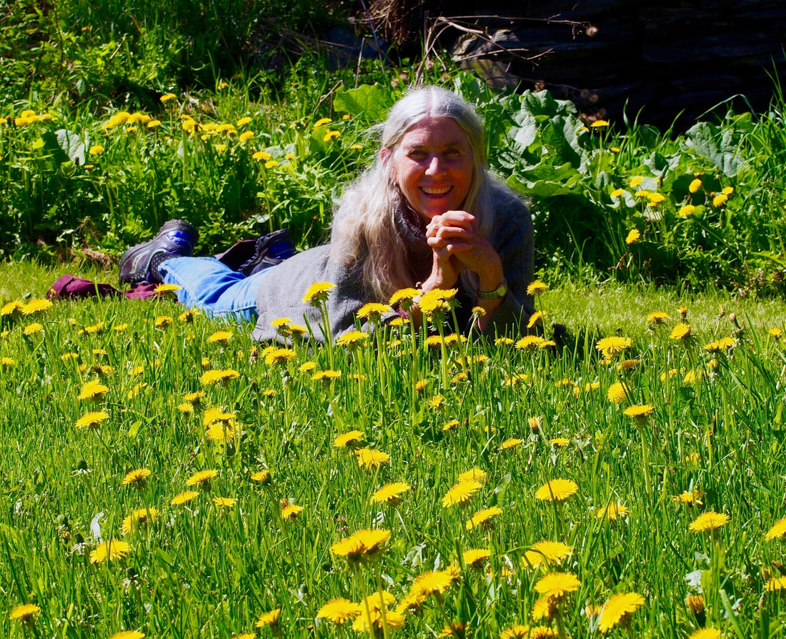 Dandelion Recipes