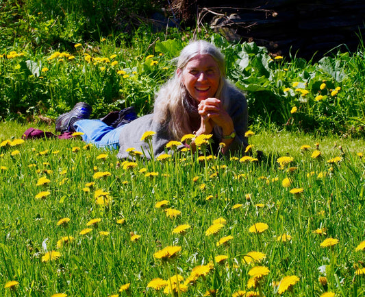 Dandelion Recipes