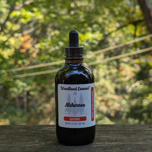 Bottle of Woodland Essence Alchornea on a wooden surface with a blurred natural background