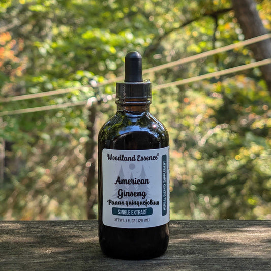 Bottle of Woodland Essence American Ginseng extract on a wooden surface with a forest background