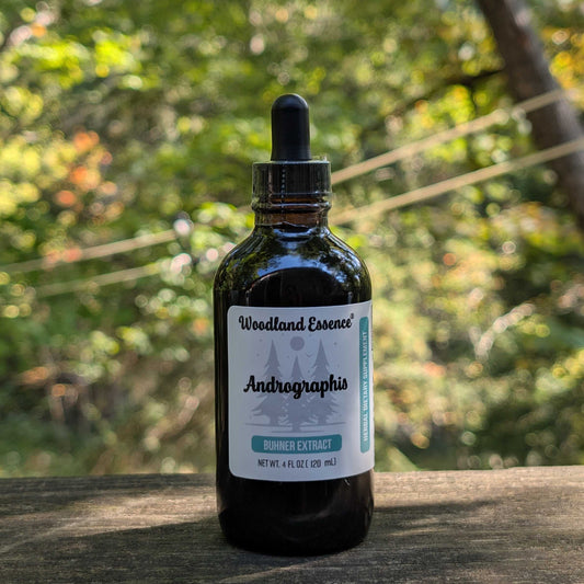 bottle of andrographis extract 