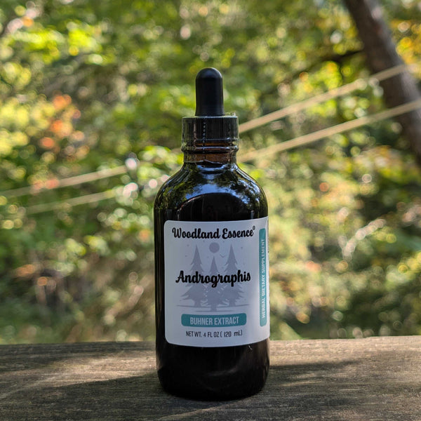bottle of andrographis extract 