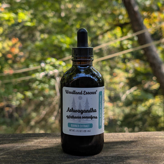 Bottle of Woodland Essence Ashwagandha extract on a wooden surface with a natural background