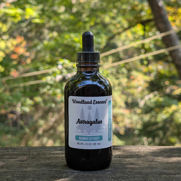 bottle of astragalus extract 