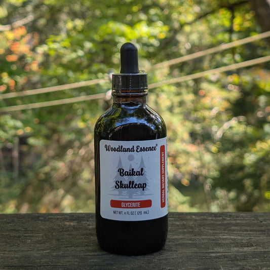 bottle of baikal skullcap glycerite 