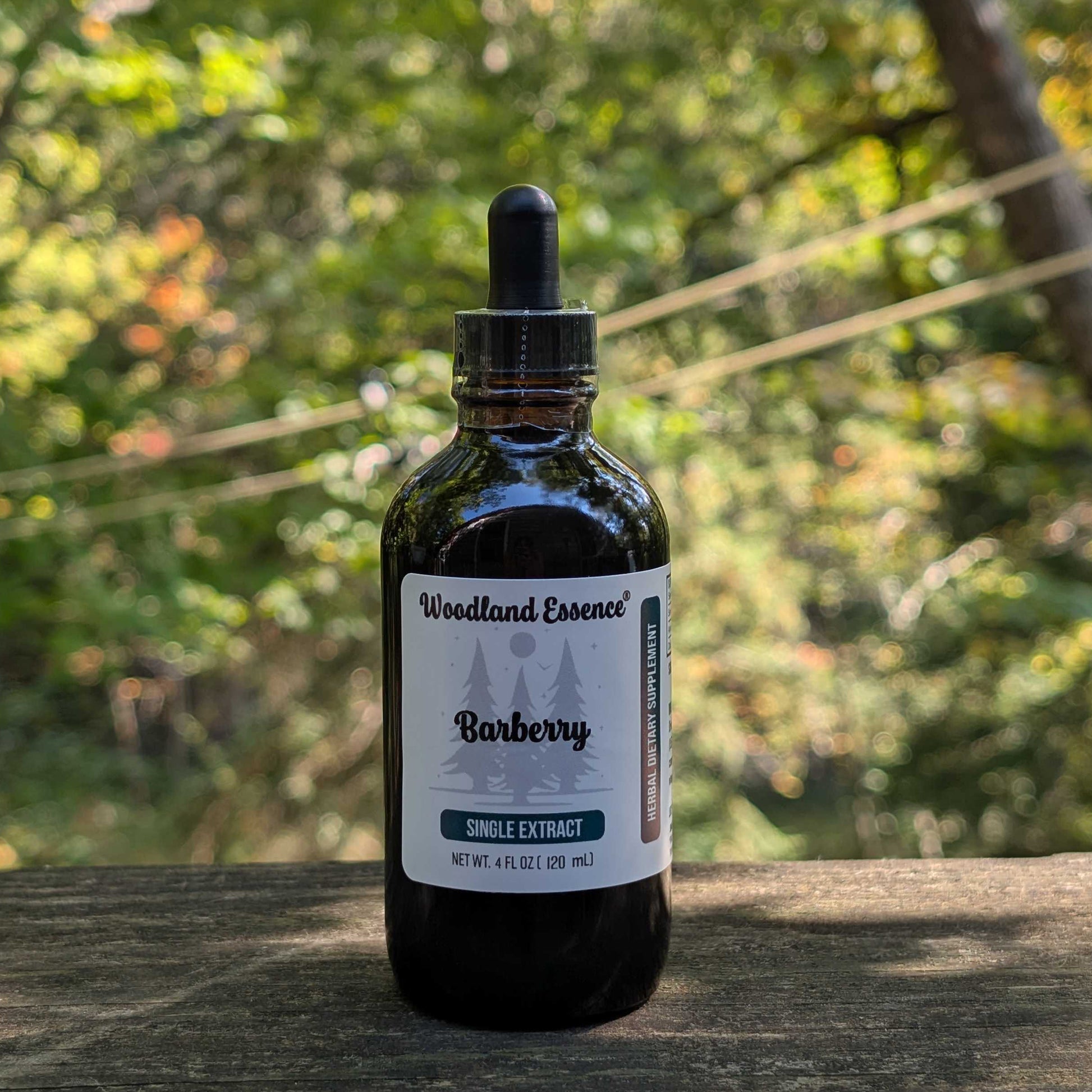 bottle of barberry extract 