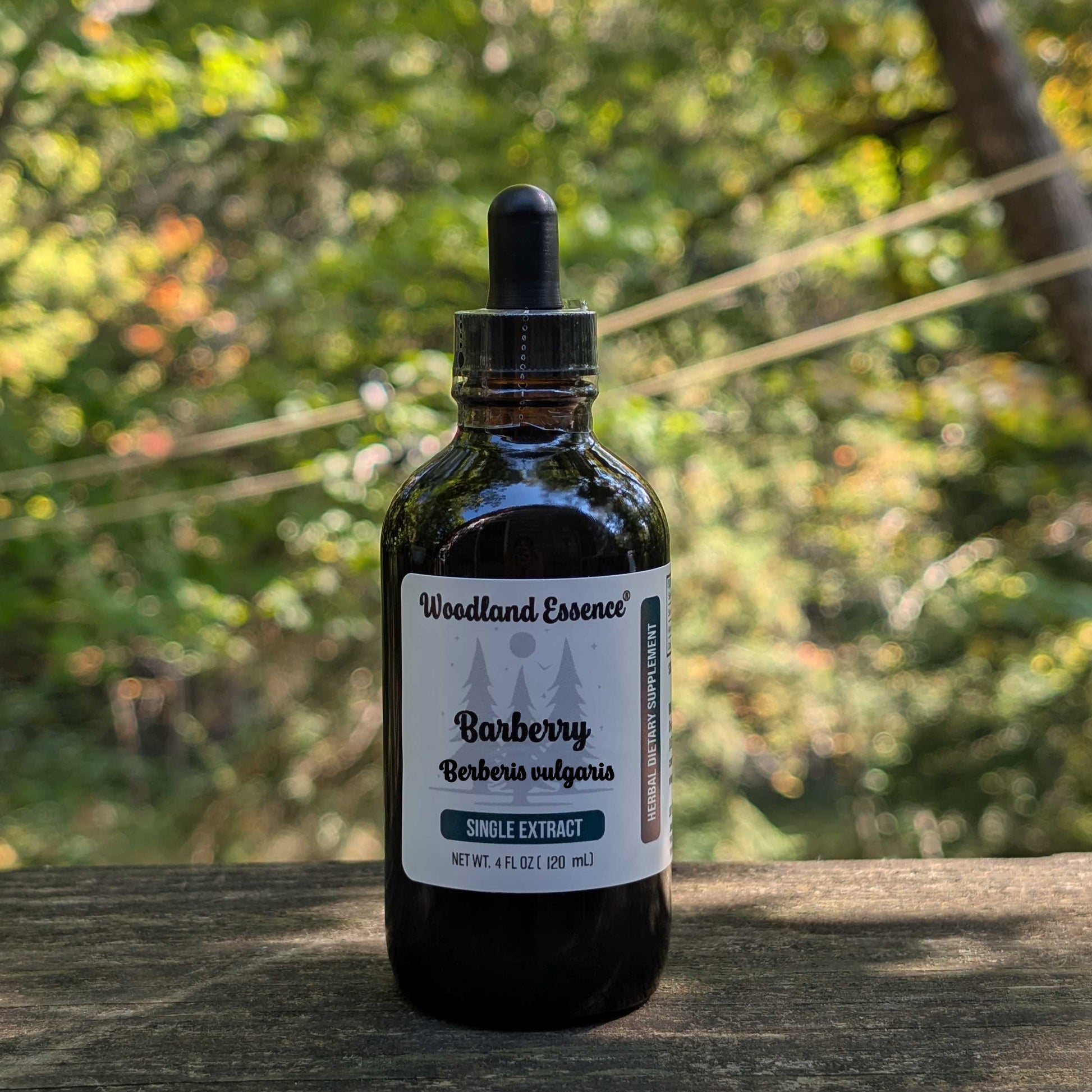 Bottle of Woodland Essence Barberry extract on a wooden surface with a natural background