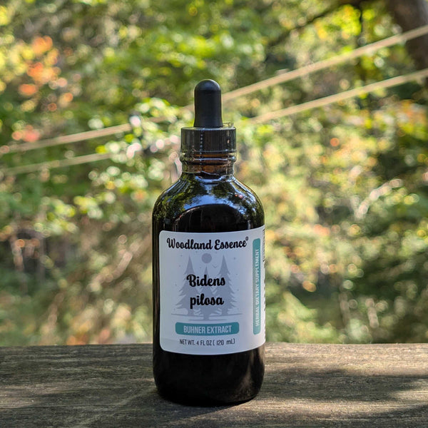 bottle of bidens pilosa extract
