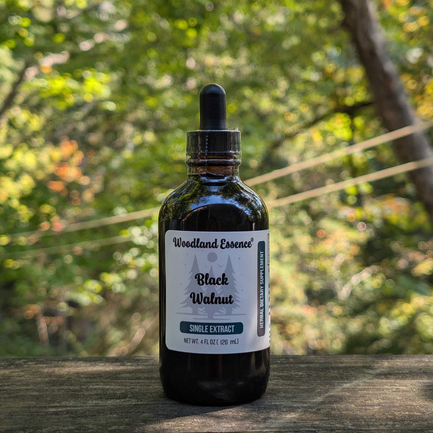 bottle of black walnut extract 