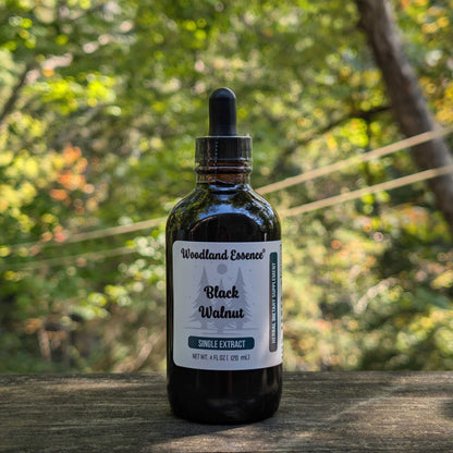 bottle of black walnut extract 