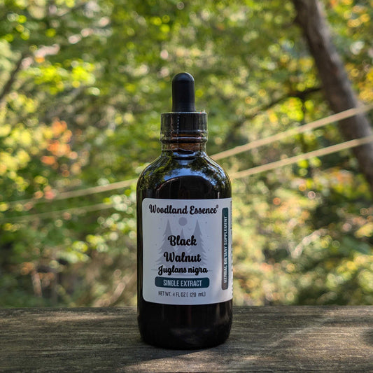 Black Walnut Extract