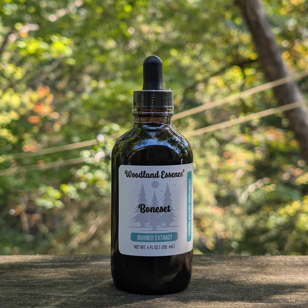bottle of boneset extract 