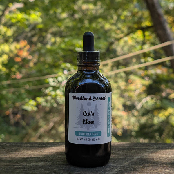 Bottle of Woodland Essence Cat's Claw tincture on a wooden surface with a blurred natural background