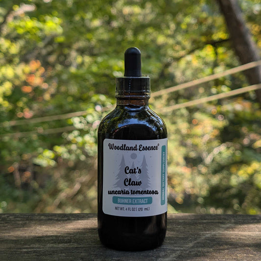 bottle of cats claw tomentosa extract 