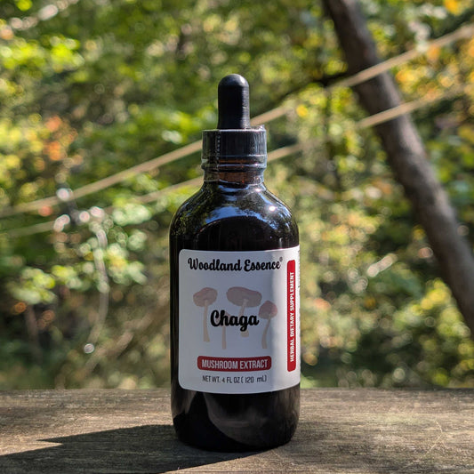 Bottle of Chaga Extract 
