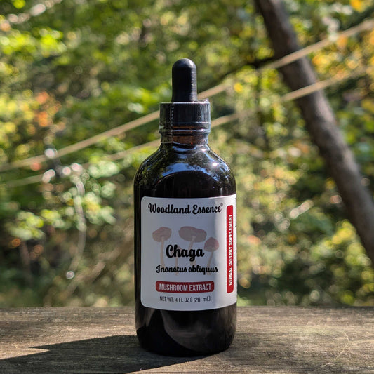 Bottle of Woodland Essence Chaga mushroom extract on a wooden surface with a blurred natural background