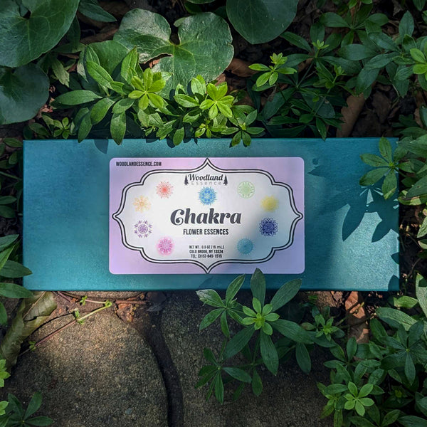 box of chakra essences 