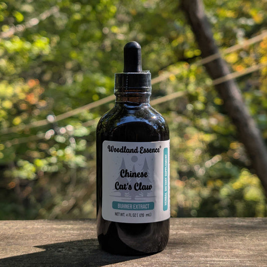 Bottle of Chinese cats claw extract 