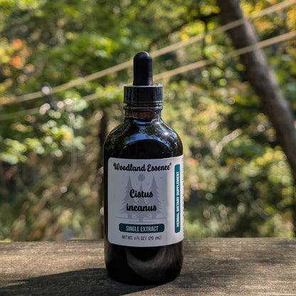Bottle of Woodland Essence Cistus incanus extract on a wooden surface with a natural background