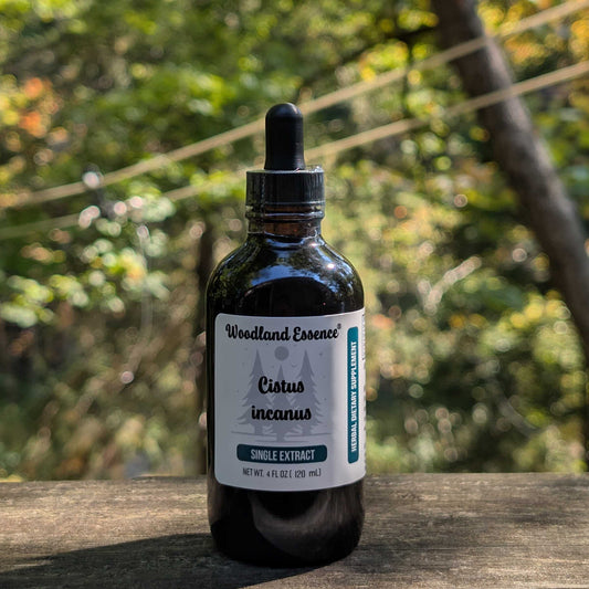 Bottle of Woodland Essence Cistus incanus extract on a wooden surface with a natural background