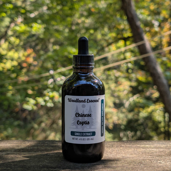 Bottle of Woodland Essence Chinese Coptis extract on a wooden surface with a natural background