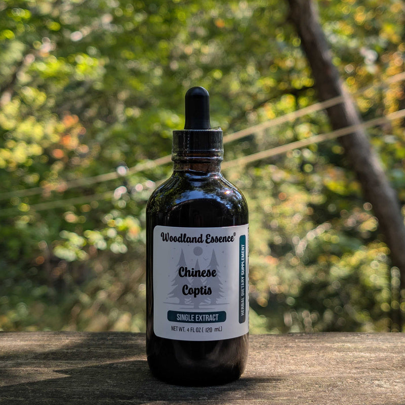 Bottle of Woodland Essence Chinese Coptis extract on a wooden surface with a natural background