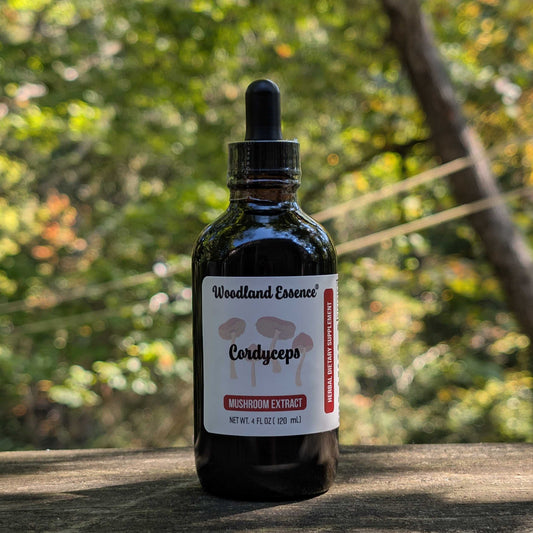 bottle of cordyceps extract 