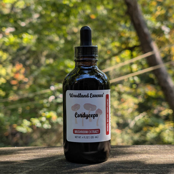bottle of cordyceps extract 
