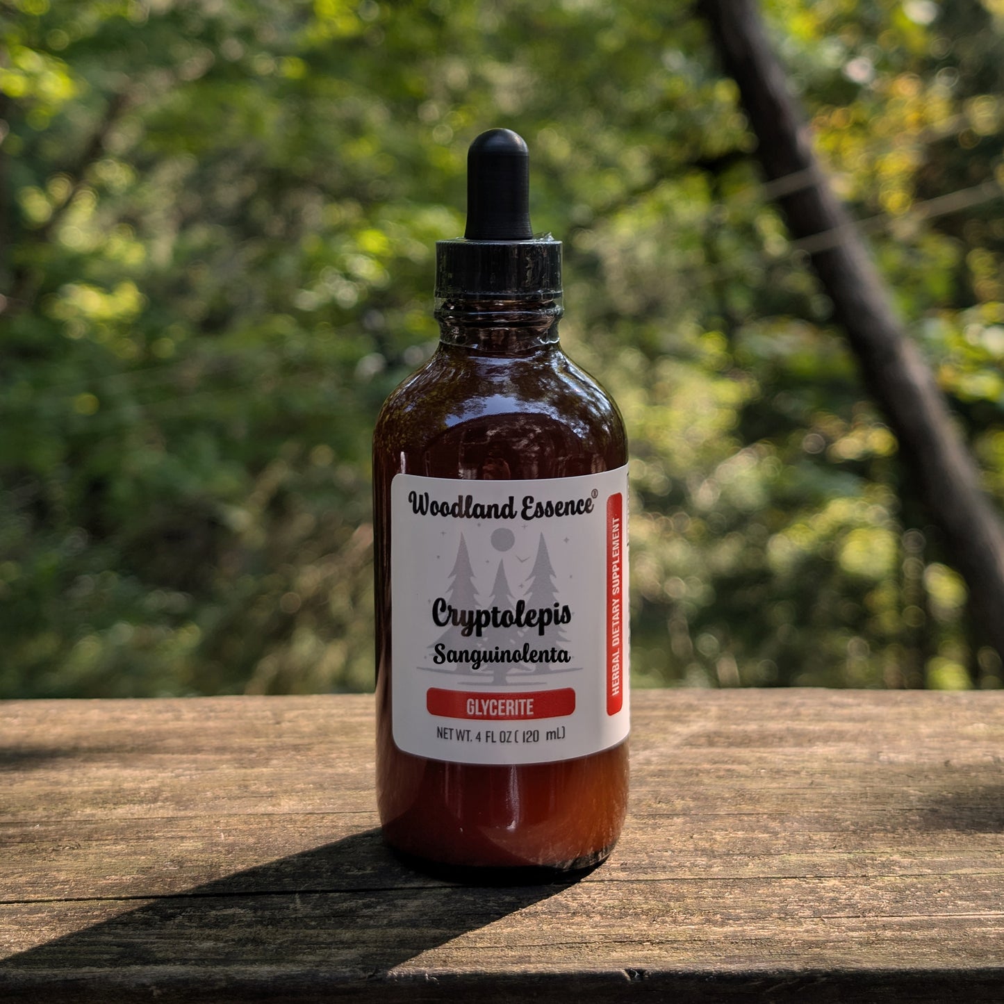 bottle of cryptolepis glycerite 