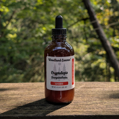 bottle of cryptolepis glycerite 