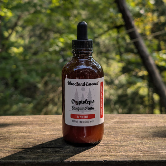 bottle of cryptolepis glycerite 