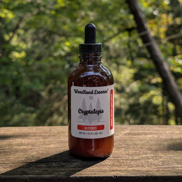 Cryptolepis GLYCERITE