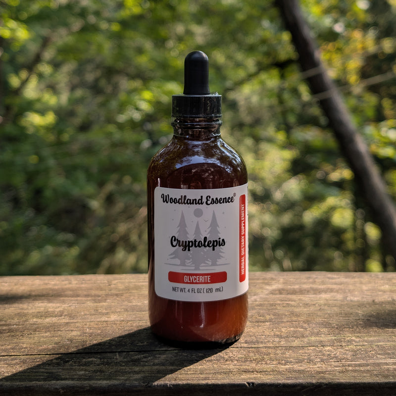 Cryptolepis GLYCERITE
