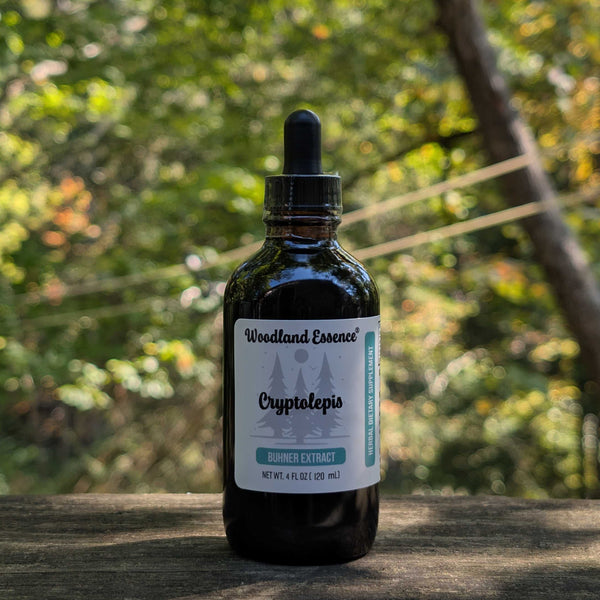 bottle of cryptolepis extract 