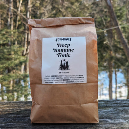 Bag of Deep Immune Tonic Broth 
