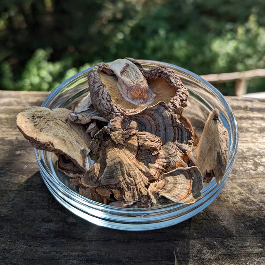 deep immune tonic mushrooms 