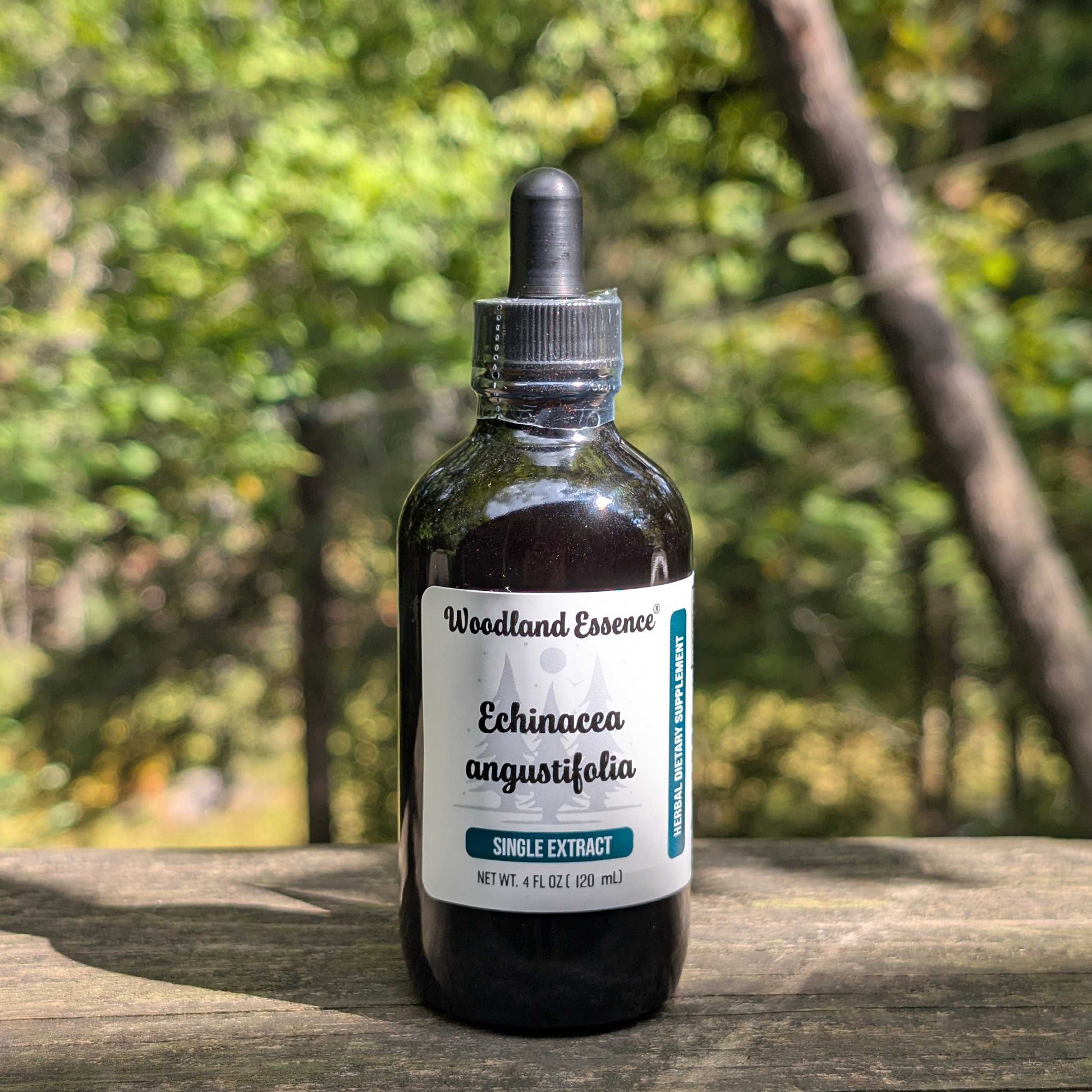 bottle of echinacea angustifolia extract 