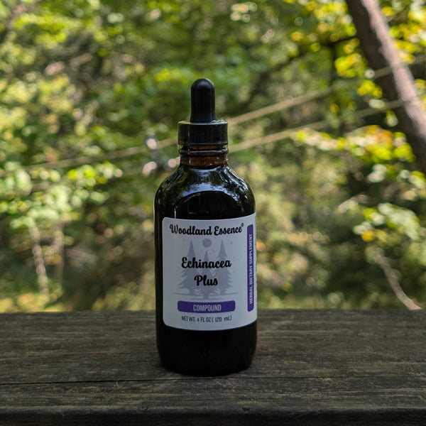 Bottle of Woodland Essence Echinacea Plus on a wooden surface with a blurred natural background